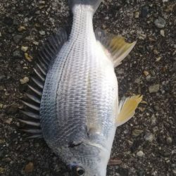 すごい引きでした