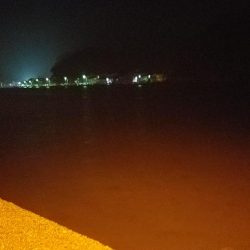 今日はあかんかった