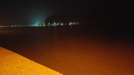 今日はあかんかった