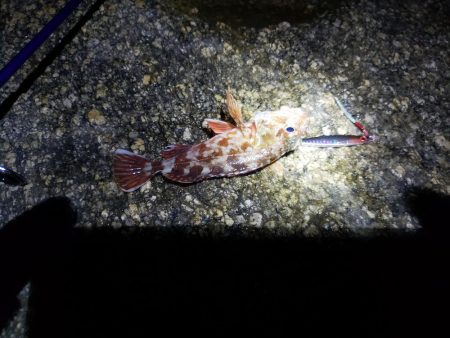 ボウズは回避出来たが…