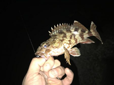 今日も1時間だけ！