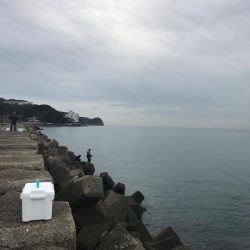 ショアジギング