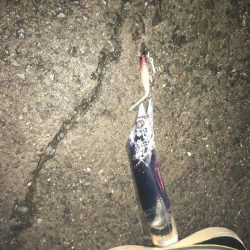 シーズンラスト