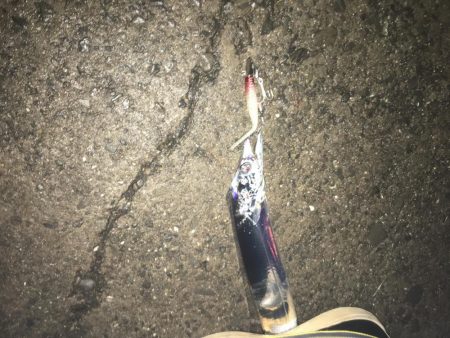 シーズンラスト