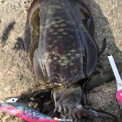 西高東低  爆風の一日