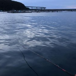 串本カセin愛丸フィッシング