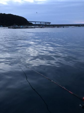 串本カセin愛丸フィッシング