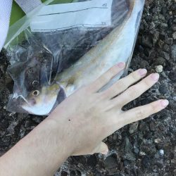 またまた来ました！