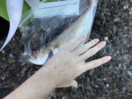 またまた来ました！