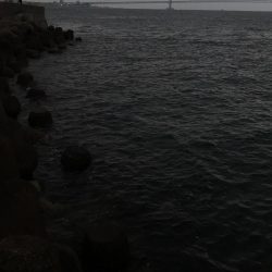 メバリング・サイズ上がらず