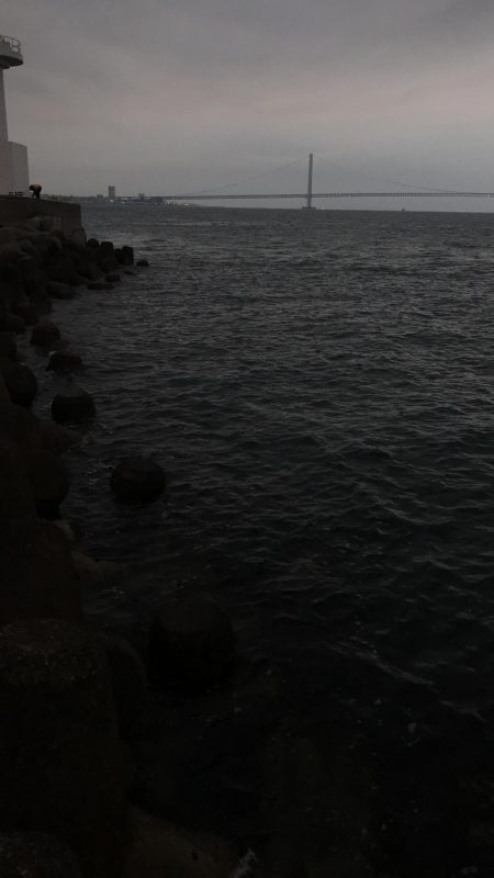 メバリング・サイズ上がらず