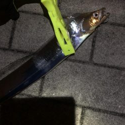 極寒のシーサイドコスモ