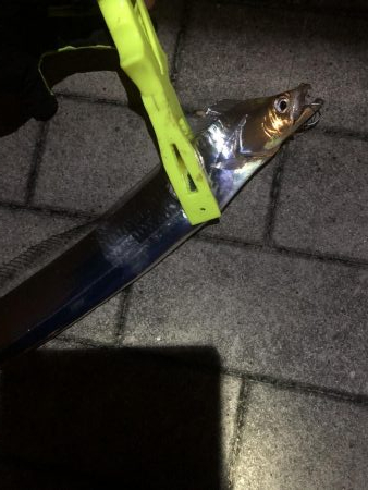 極寒のシーサイドコスモ