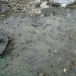 爆風の朝マズメにヒラスズキ釣果