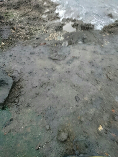 爆風の朝マズメにヒラスズキ釣果