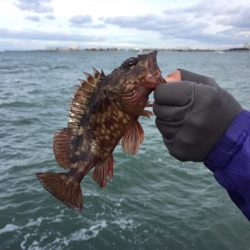 冬将軍と穴釣り