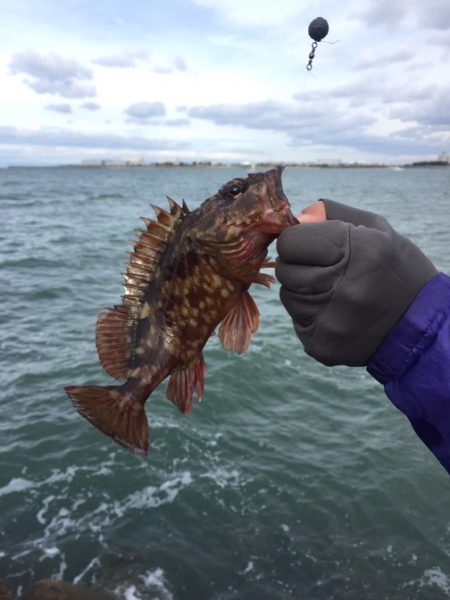 冬将軍と穴釣り