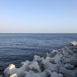 漁港でサビキ釣り