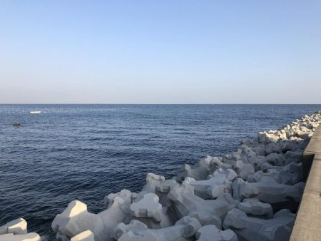 漁港でサビキ釣り