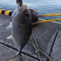 メッキ　釣り時間1時間