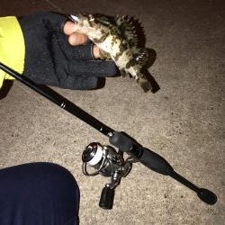 ライトワインド楽しい〜!