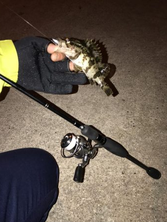 ライトワインド楽しい〜!