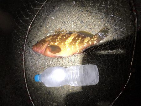 赤色のうまい奴