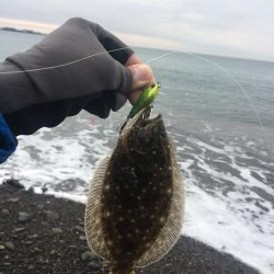 初ヒラメ…ソゲ。