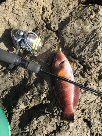 寝坊からのガシリング