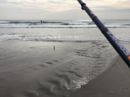 伊古部海岸でヒラメ