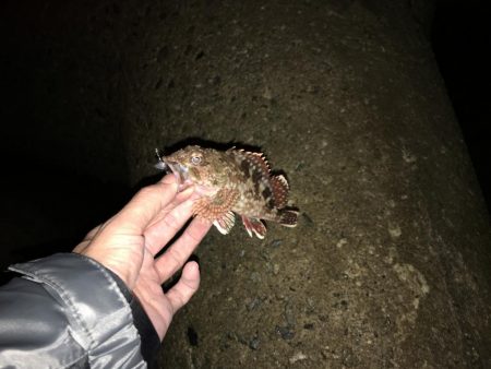 爆風ライトゲーム