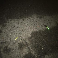 またまた明け方だけ。