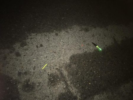 またまた明け方だけ。