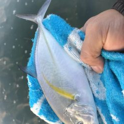 メッキ遊び楽しー