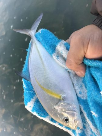 メッキ遊び楽しー