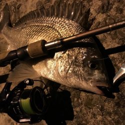 大きいのんどこいった。