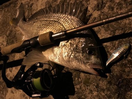 大きいのんどこいった。