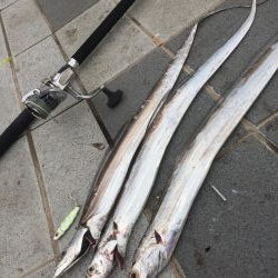 南風の中でヤツが来た