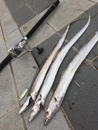 南風の中でヤツが来た