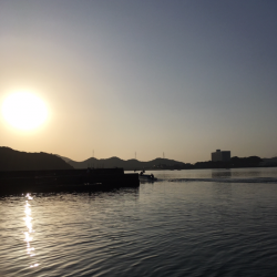 堂ノ浦でナイト青物