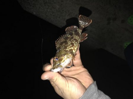 今日もライトワインド修行