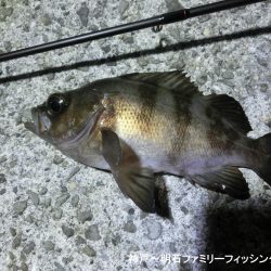 激寒の中何とかメバル