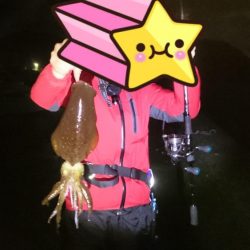 年内ラスト日本海(・x・*)