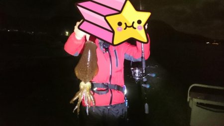 年内ラスト日本海(・x・*)