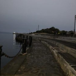 帰省釣行（水俣市）