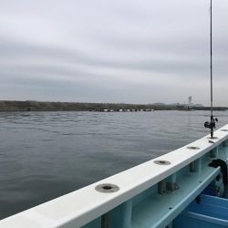 泳がせでヒラメ釣り