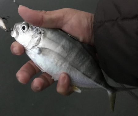 久しぶりにメッキ！