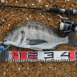 ワームを投げると…