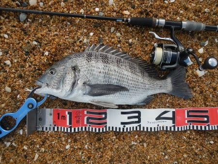 ワームを投げると…