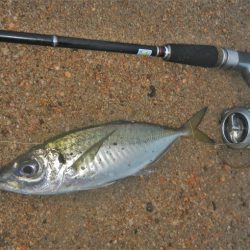 イマイチな感じ